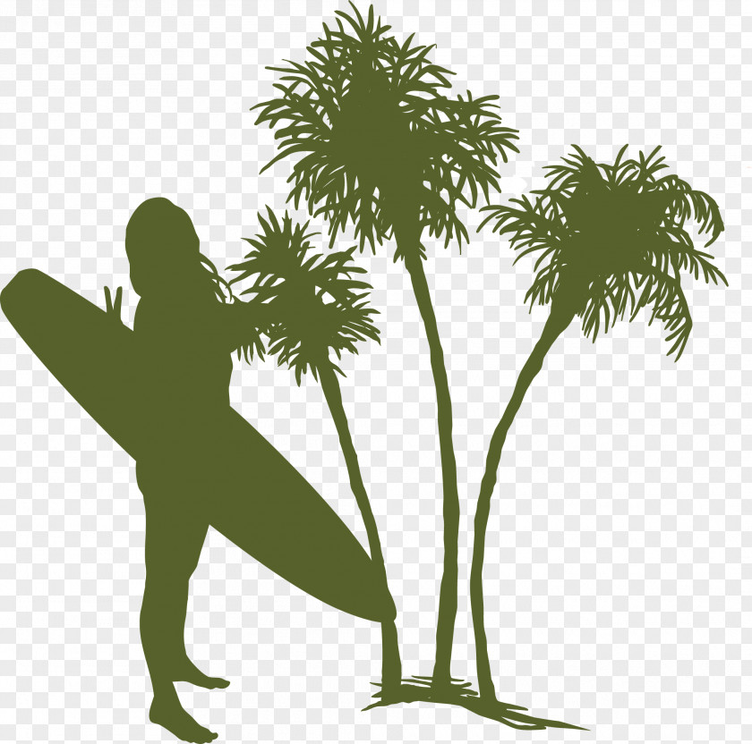 Woman Surfboard Summer Coconut Tree Vector Material Euclidean PNG