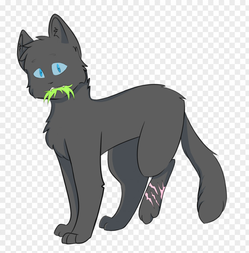 Cat Whiskers Cinderpelt Into The Wild Forest Of Secrets PNG