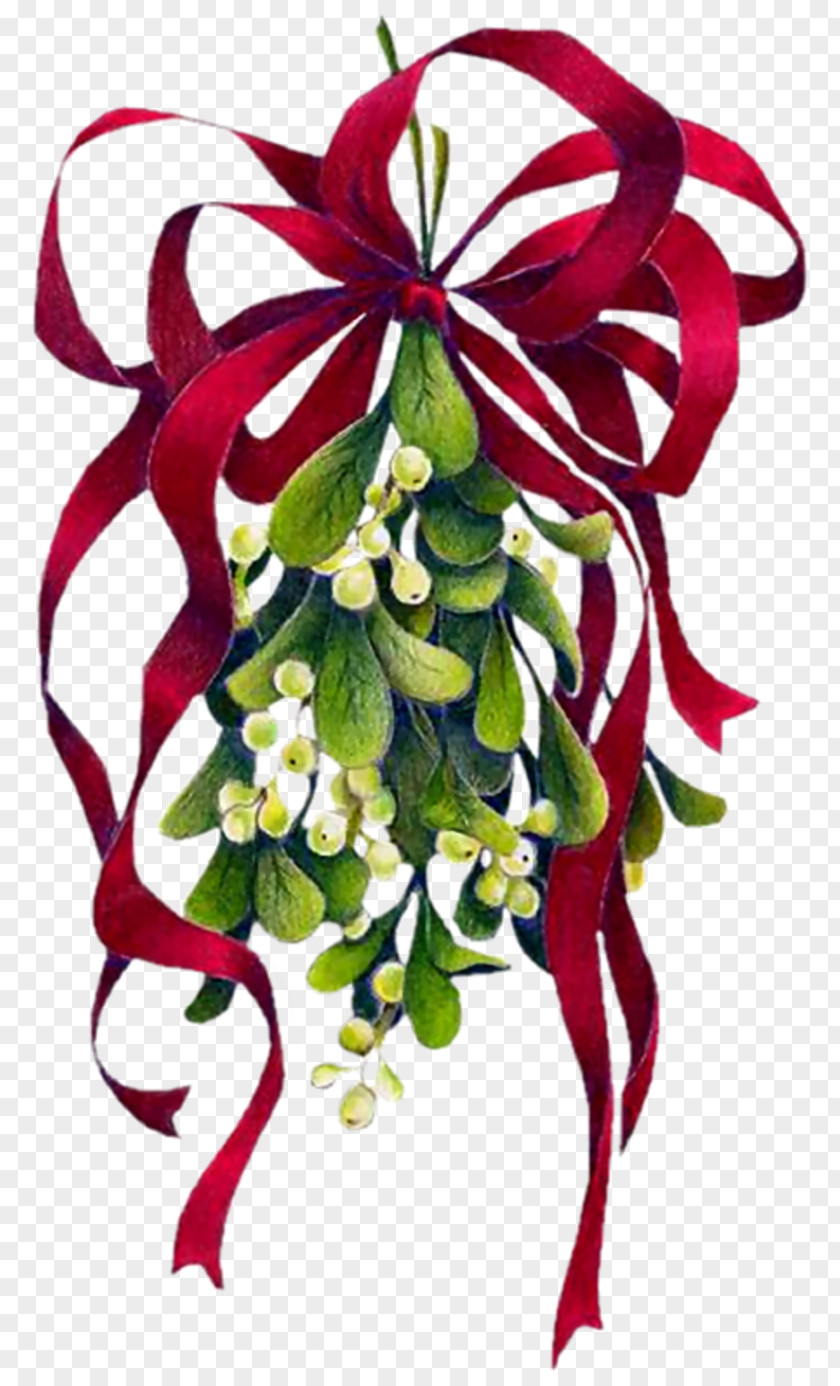 Christmas Mistletoe Clip Art PNG