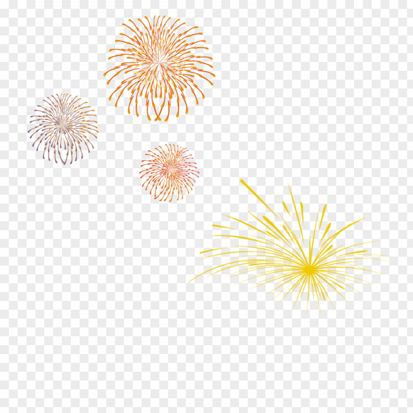 Fireworks Festival Sumidagawa PNG