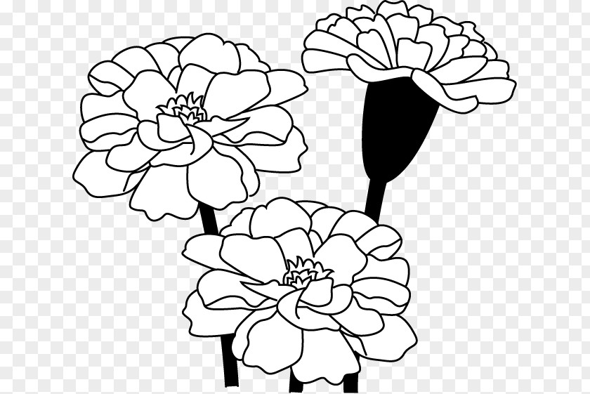 Flower Floral Design Black And White Drawing Visual Arts PNG