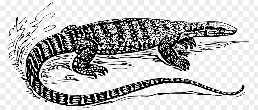 Lizard Komodo Dragon Reptile Common Iguanas Clip Art PNG