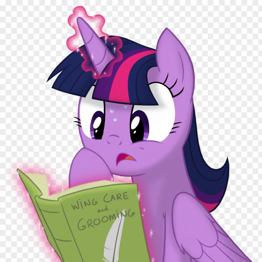 My Little Pony Twilight Sparkle Rarity Equestria Winged Unicorn PNG