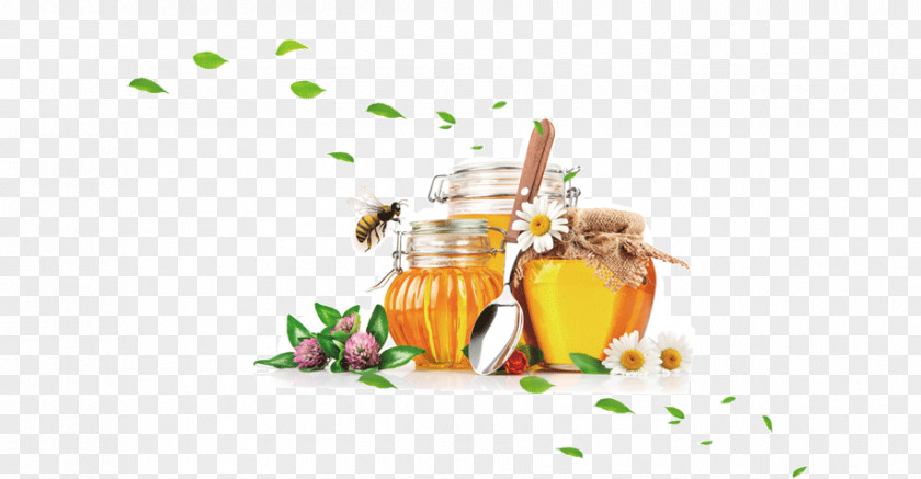 Honey Bee Vegetarian Cuisine Buckwheat PNG