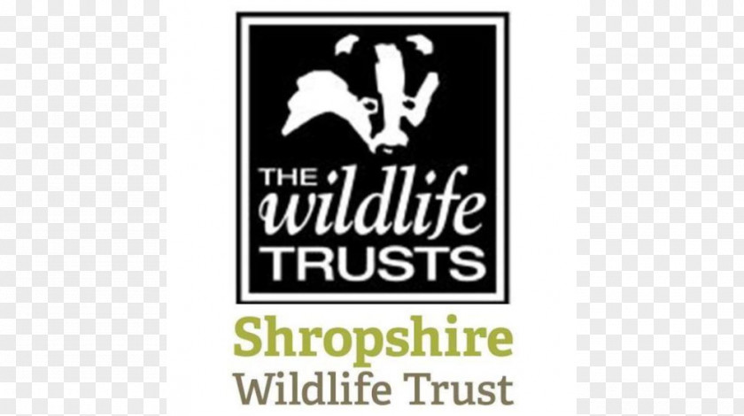 Lincolnshire Wildlife Trust The Trusts Derbyshire Herts And Middlesex PNG and Trust, Shropshire clipart PNG