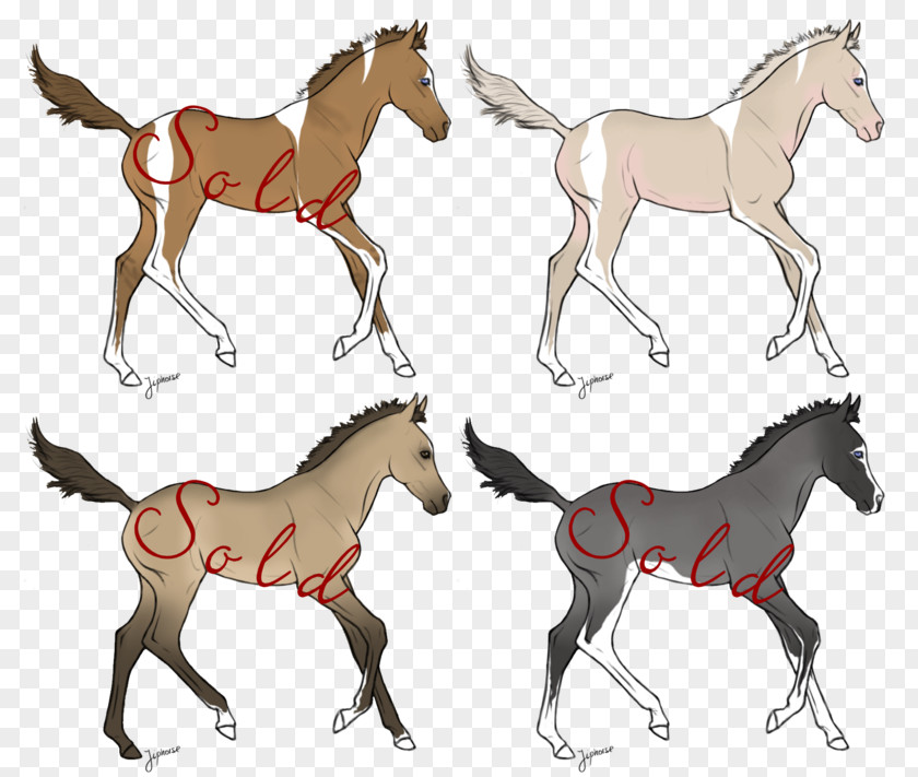 Red Splash Horse Mule Foal Mustang Mare Stallion PNG