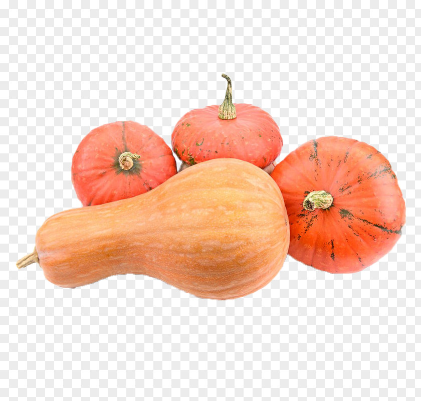 Ripe Red Pumpkin Calabaza Winter Squash Gourd PNG