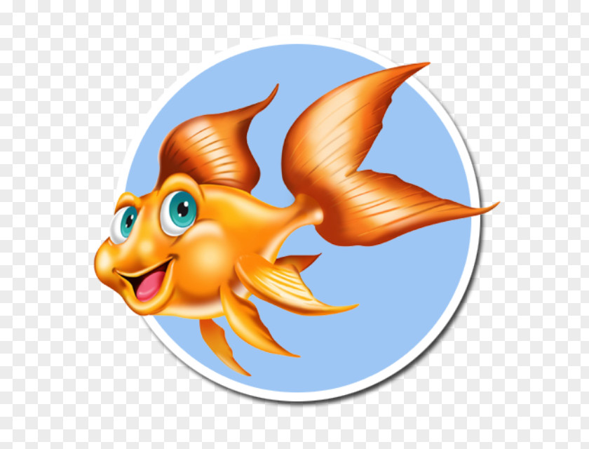Swimming Goldfish Houston Swim Club Learning Lessons Marine Biology PNG