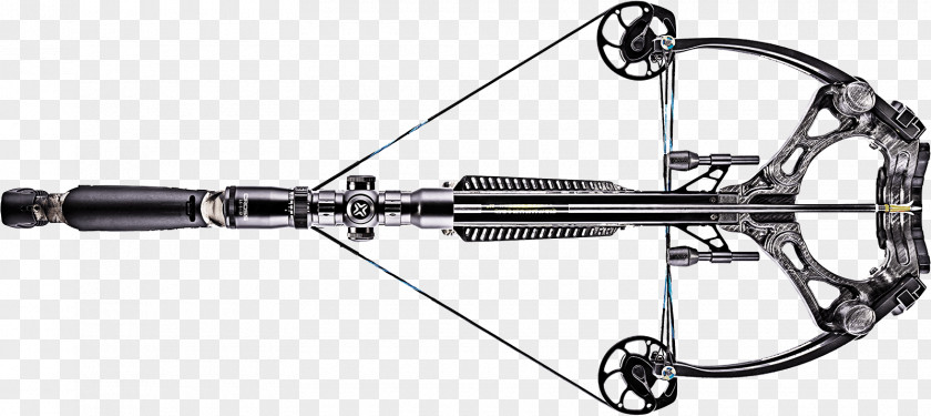 Arrow Crossbow Firearm Compound Bows Bow And PNG