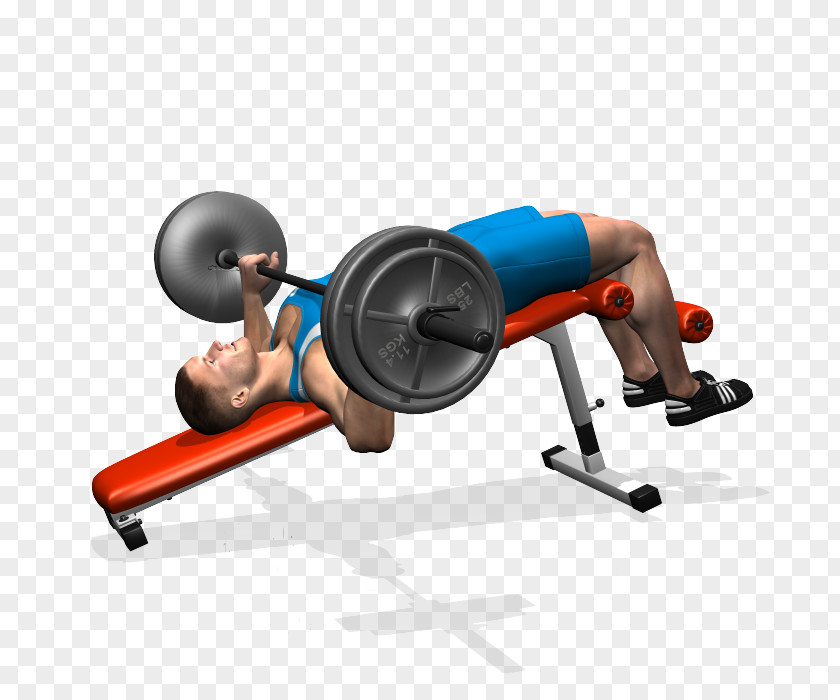 Barbell Weight Training Bench Press Fly PNG
