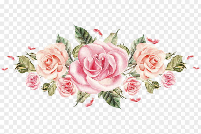 Colored Roses Flower Rose Pink Hash Florist PNG