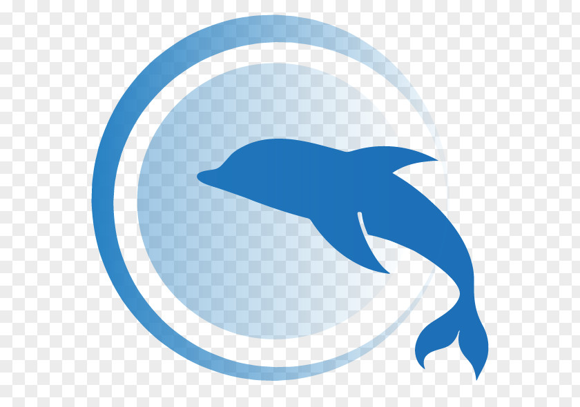 Dolphin Common Bottlenose Line Beak Clip Art PNG