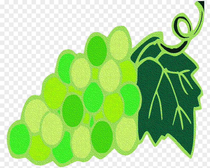 Grape Green Leaf Clip Art PNG