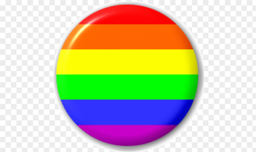 Rainbow Flag Homosexuality Gay Pride LGBT Parade PNG flag pride parade, clipart PNG