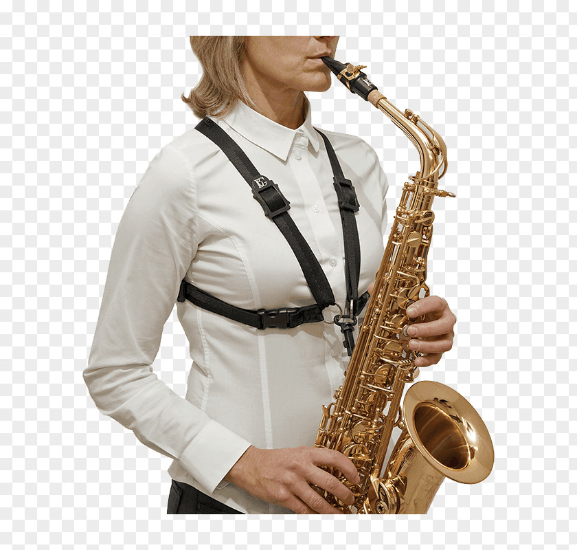 Saxophone Baritone Alto Tenor Musical Instruments PNG