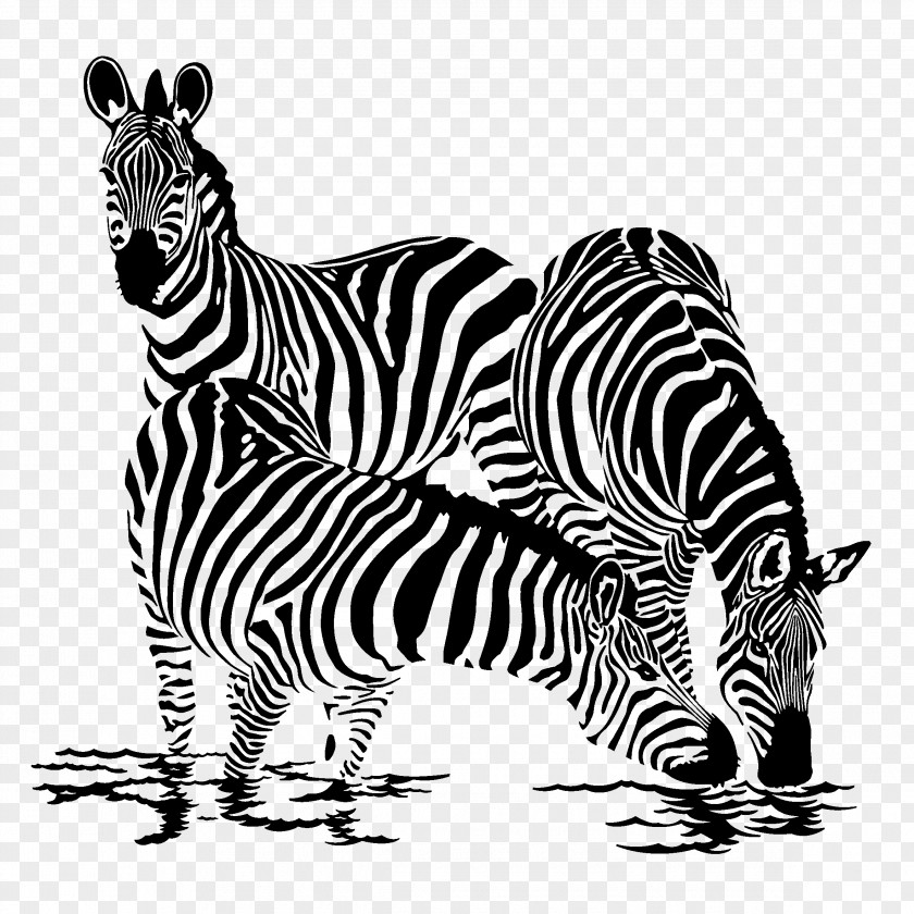 Zebra Themed Wall Decal Sticker PNG