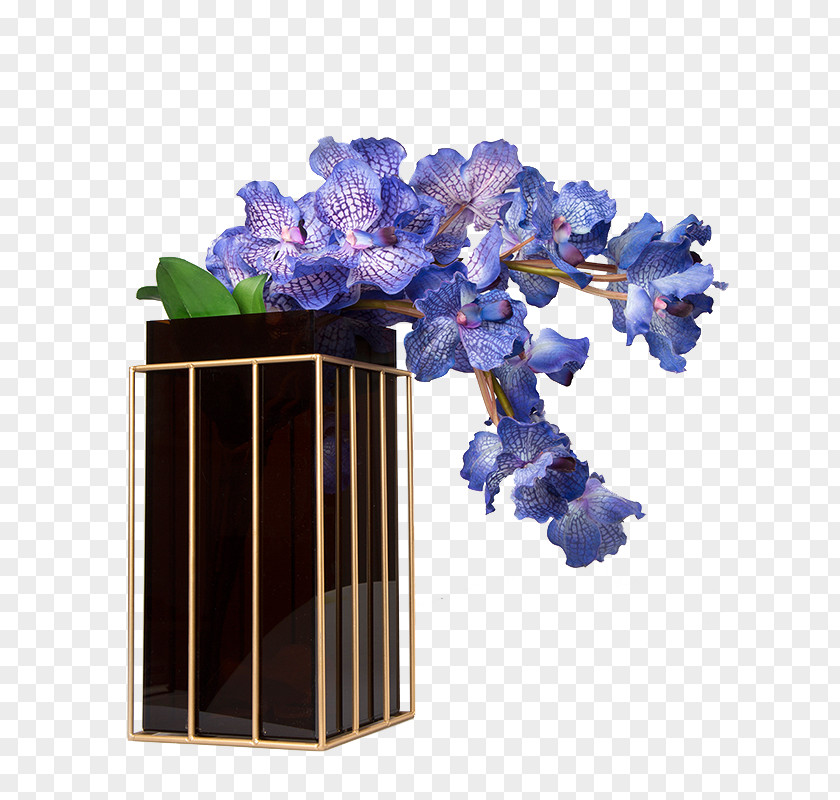 Blue Butterfly Orchid Decoration Flowerpot Moth Orchids PNG