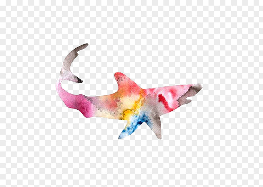 Color Shark Watercolor Painting Tattoo Abstract Art PNG