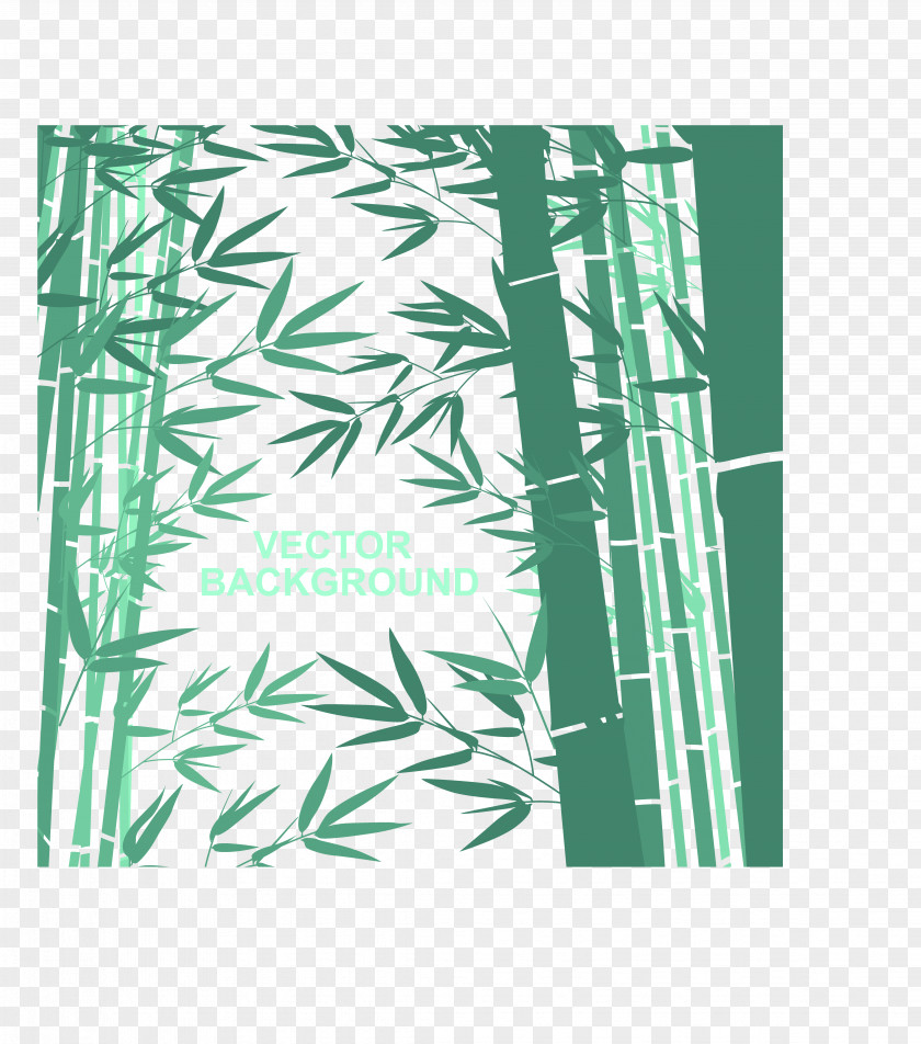 Green Bamboo Euclidean Vector Computer File PNG