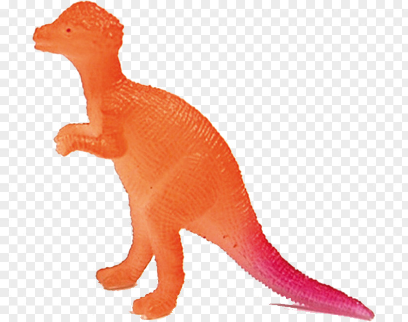 Tyrannosaurus Pachycephalosaurus Velociraptor Paleontology Terrestrial Animal PNG