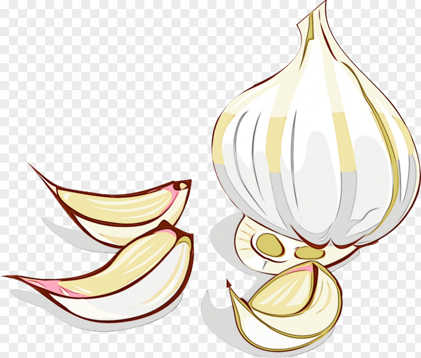 Watercolor Painting Line Art Leaf Drawing Garlic PNG