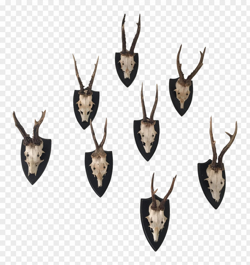 Antlers Roe Deer Antler Black Forest Elk PNG