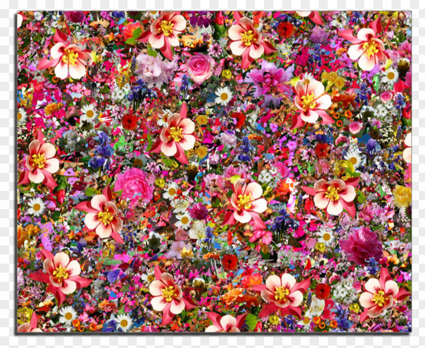 Collage Flower Psychedelia Desktop Wallpaper Psychedelic Art PNG