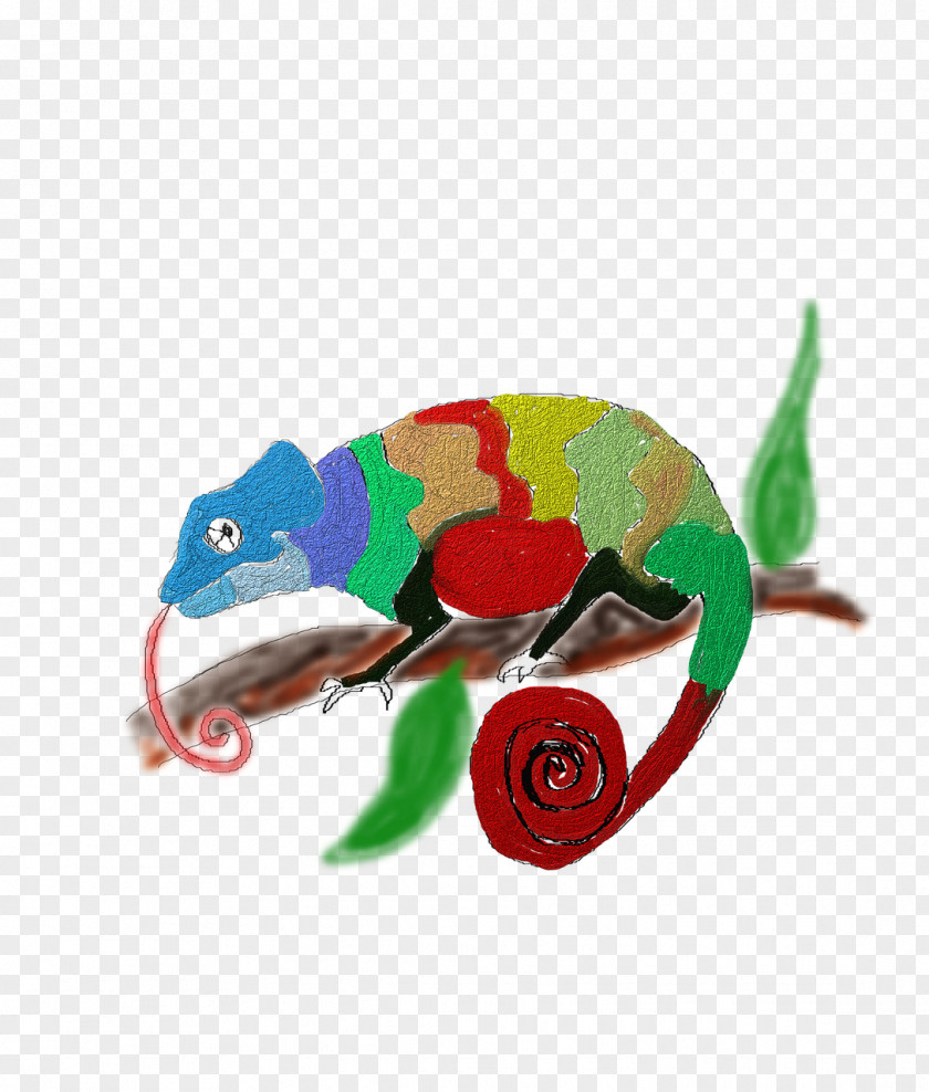 Colored Chameleon Chameleons Lizard Reptile Illustration PNG