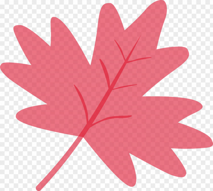 Maple Leaf PNG