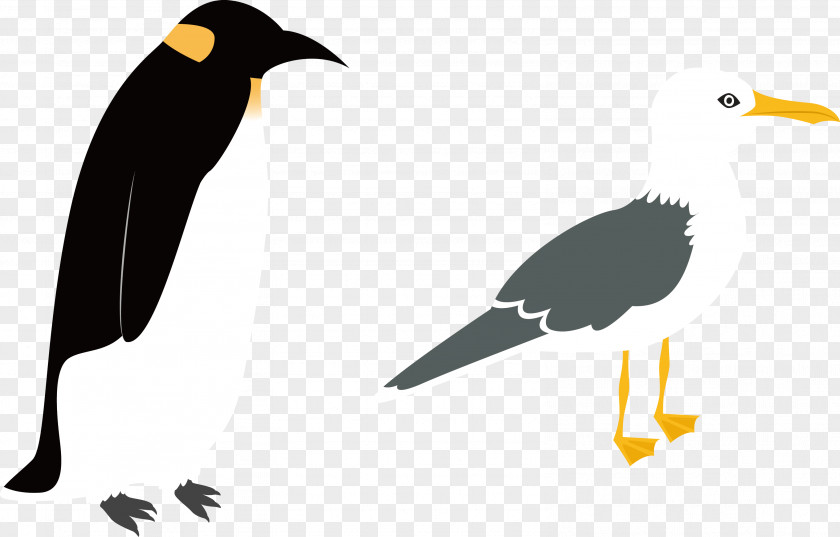 Penguin Vector Birds Bird PNG