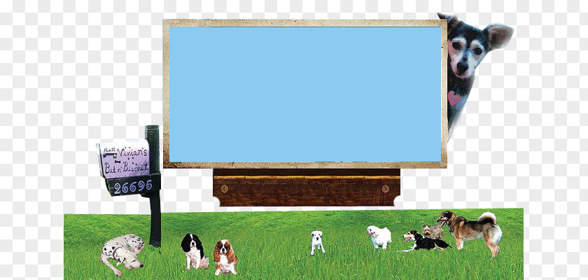 Technology Cattle Grassland System Miss Vivian's Bed N' Biscuit PNG