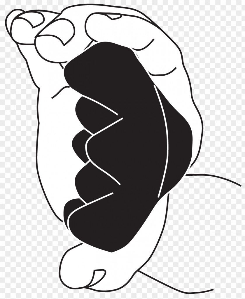 Backpack Outline Muscle Mate Equipment Ltd Muscles Of The Hand Yerba PNG