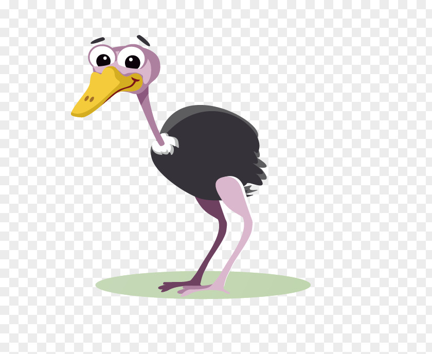 Duck Common Ostrich Cartoon Royalty-free Clip Art PNG
