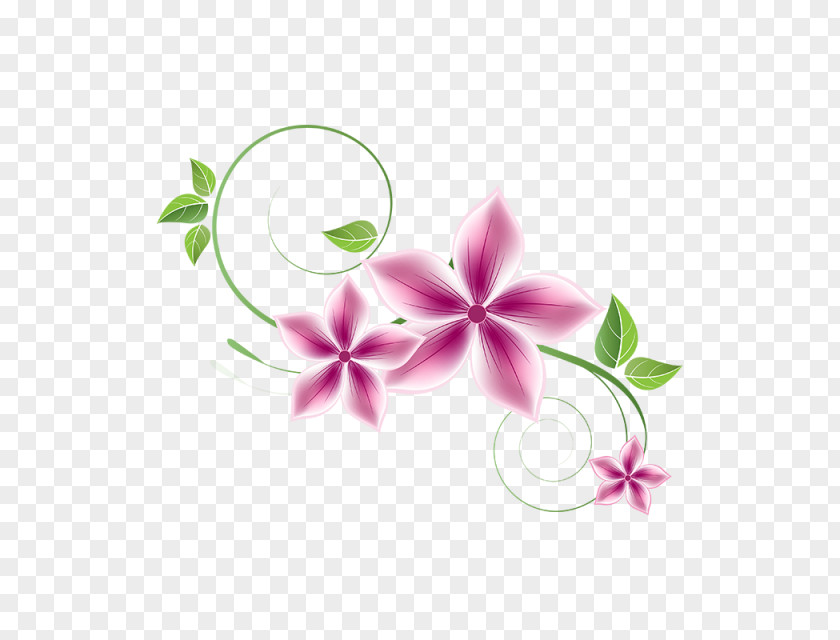 Flower PNG