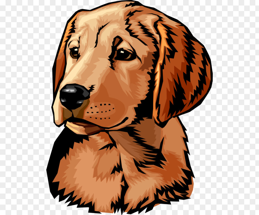 Golden Retriever Labrador Telarah Dog Training Inc. Dachshund PNG