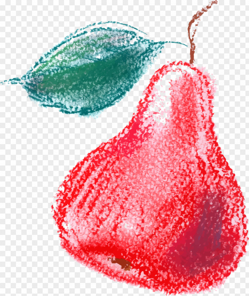 Hand Painted Red Pear Fruit Logo Illustration PNG