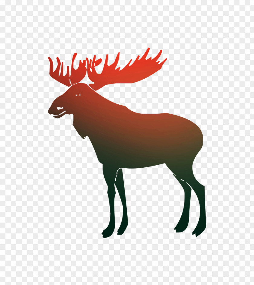 Moose Vector Graphics Royalty-free Stock Photography Illustration PNG