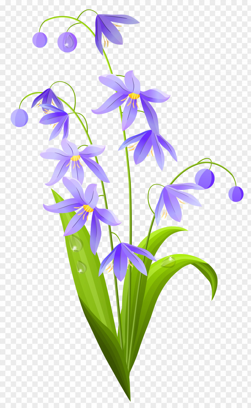 Spring Flower Clip Art PNG