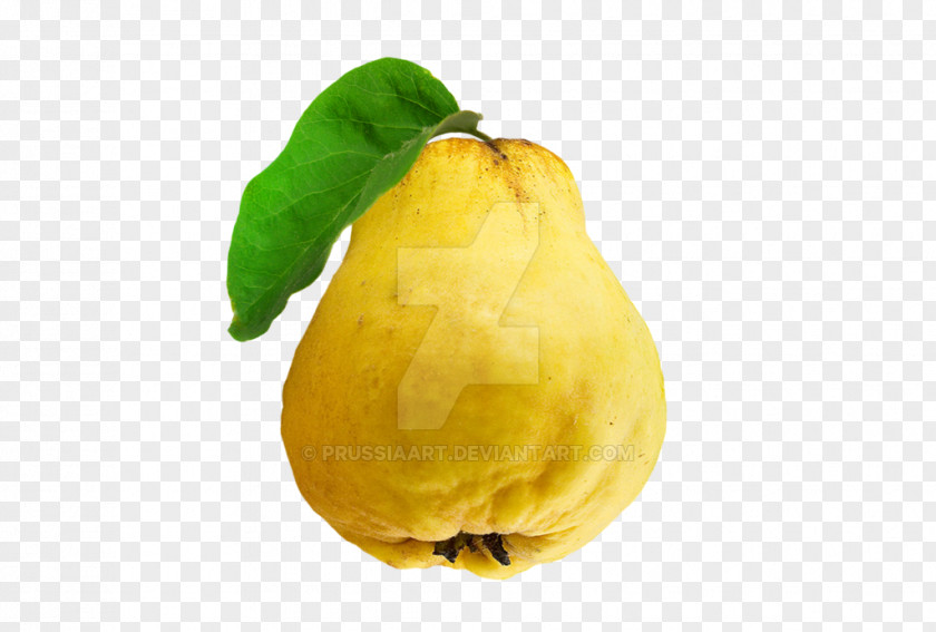 Supermarket Fruit Membership Card Quince Citron PNG