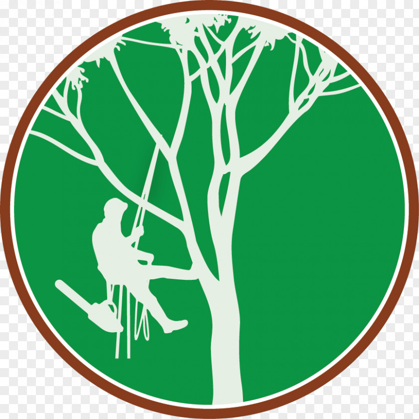 Tree Climbing Arborist Branch Clip Art PNG