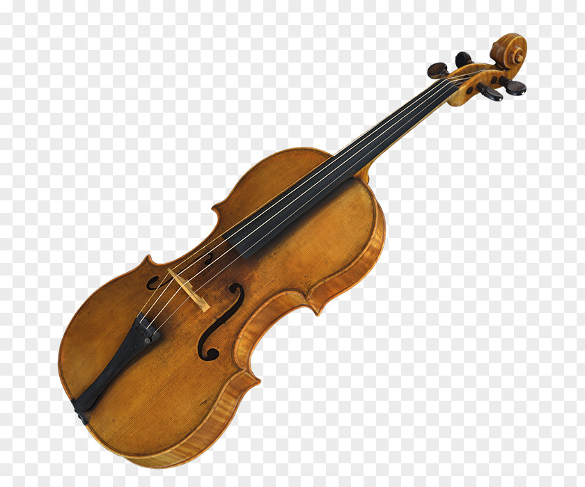 Violin Viola Musical Instruments String Amati PNG