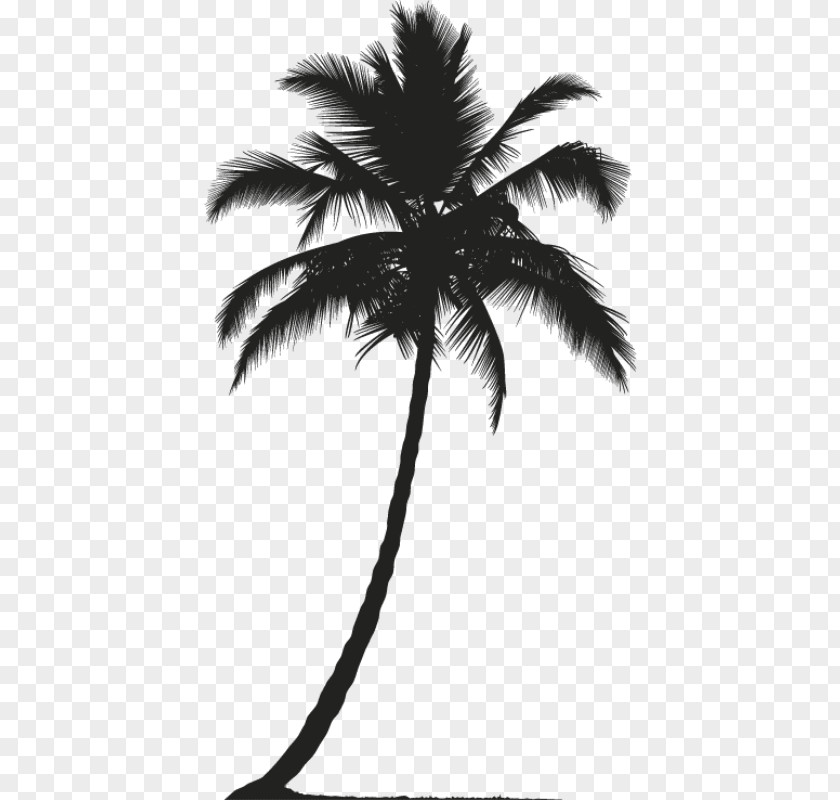 Arboles Arecaceae Tree Silhouette Plant PNG