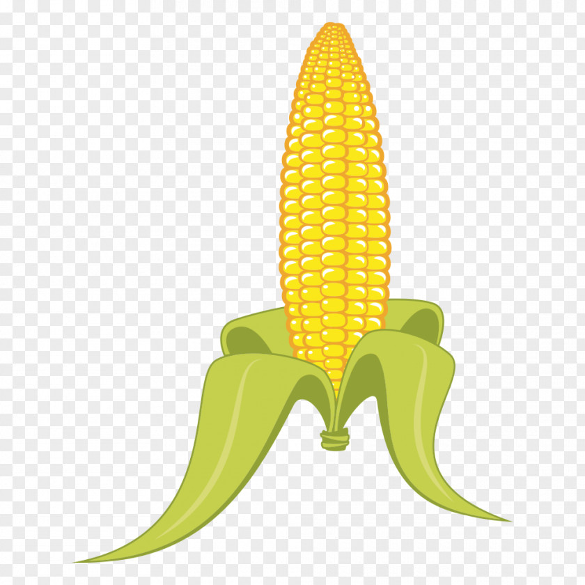 Corn Candy Popcorn Grits On The Cob PNG