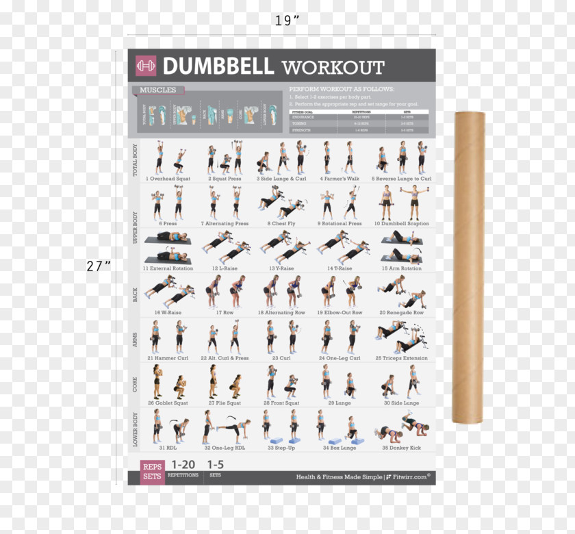 Dumbbell Weight Training Bodyweight Exercise Fitness Centre PNG