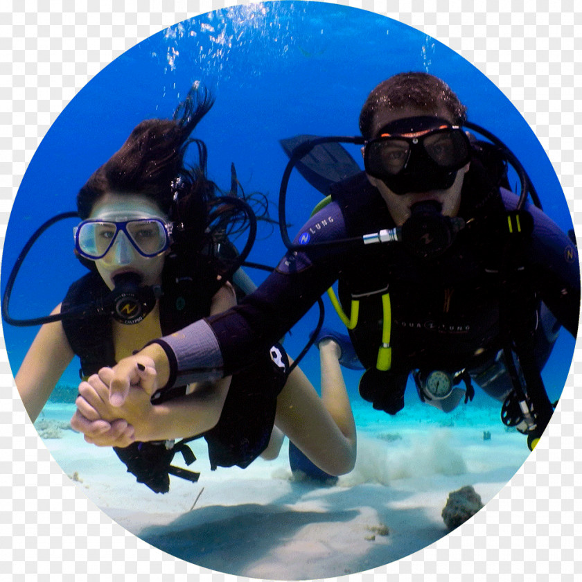 Swimming Cabo San Lucas Scuba Diving Underwater Professional Association Of Instructors Diver Certification PNG