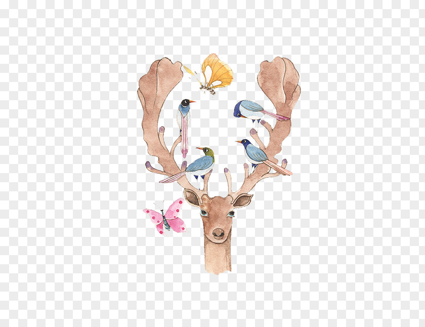 Birds On Antlers Bird House Sparrow Elk Antler Illustration PNG