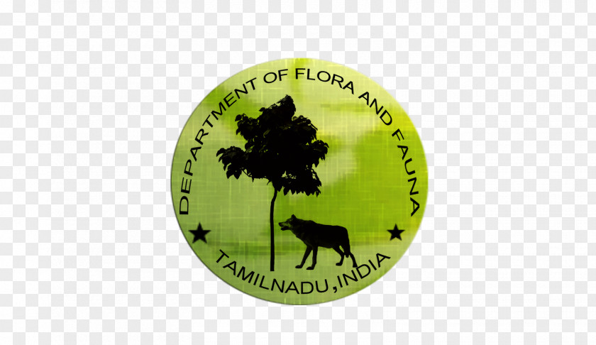 Department Of Forestry Logo Brand Font PNG