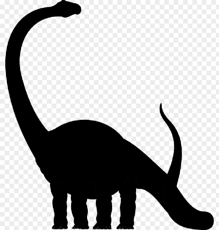 Diplodocus Eobrontosaurus Reptile T-shirt Dinosaur PNG