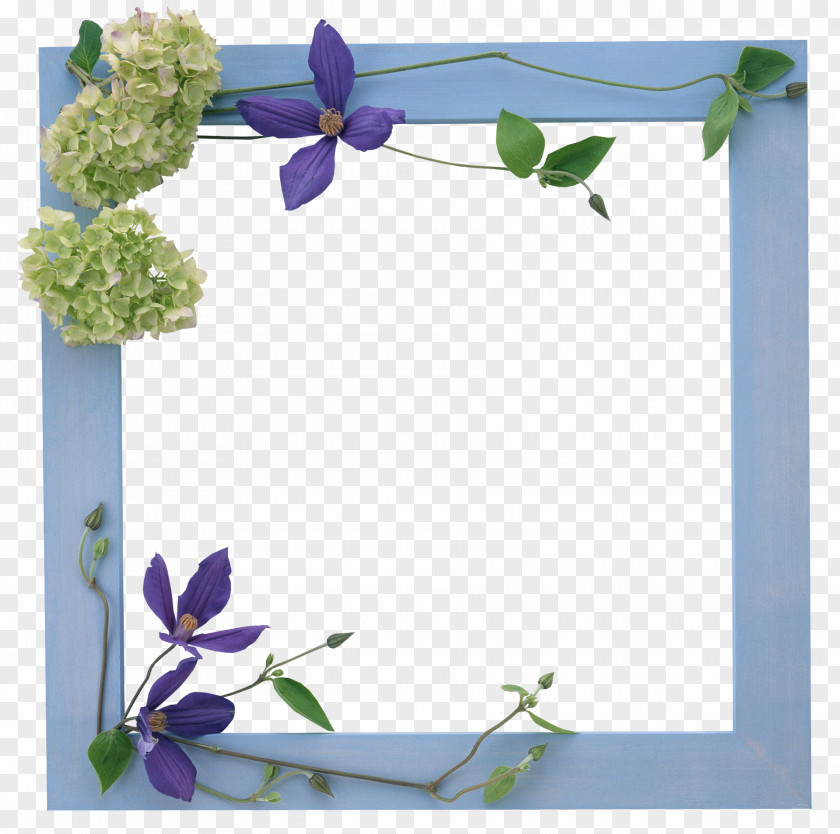 Floral Frame Chapters And Verses Of The Bible Verset Christianity Woman PNG