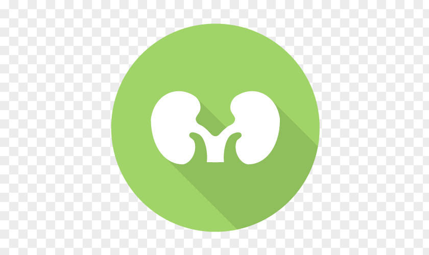 Kidney Android Google Play User Profile Aptoide PNG